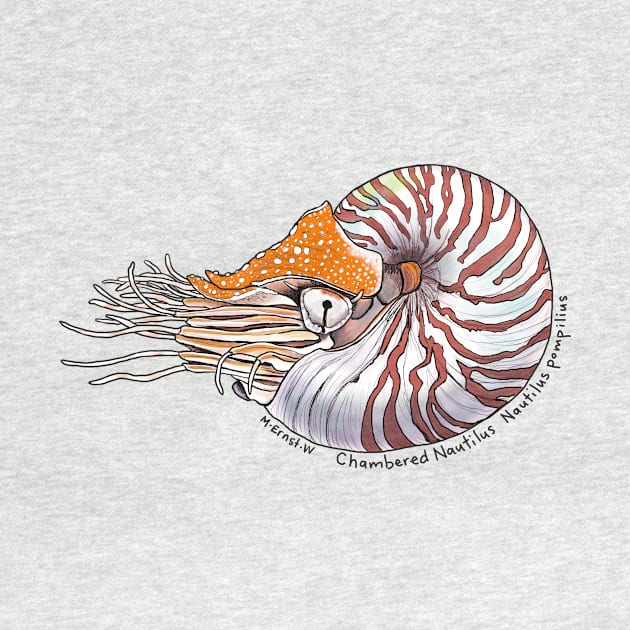 Chambered Nautilus - white by mernstw